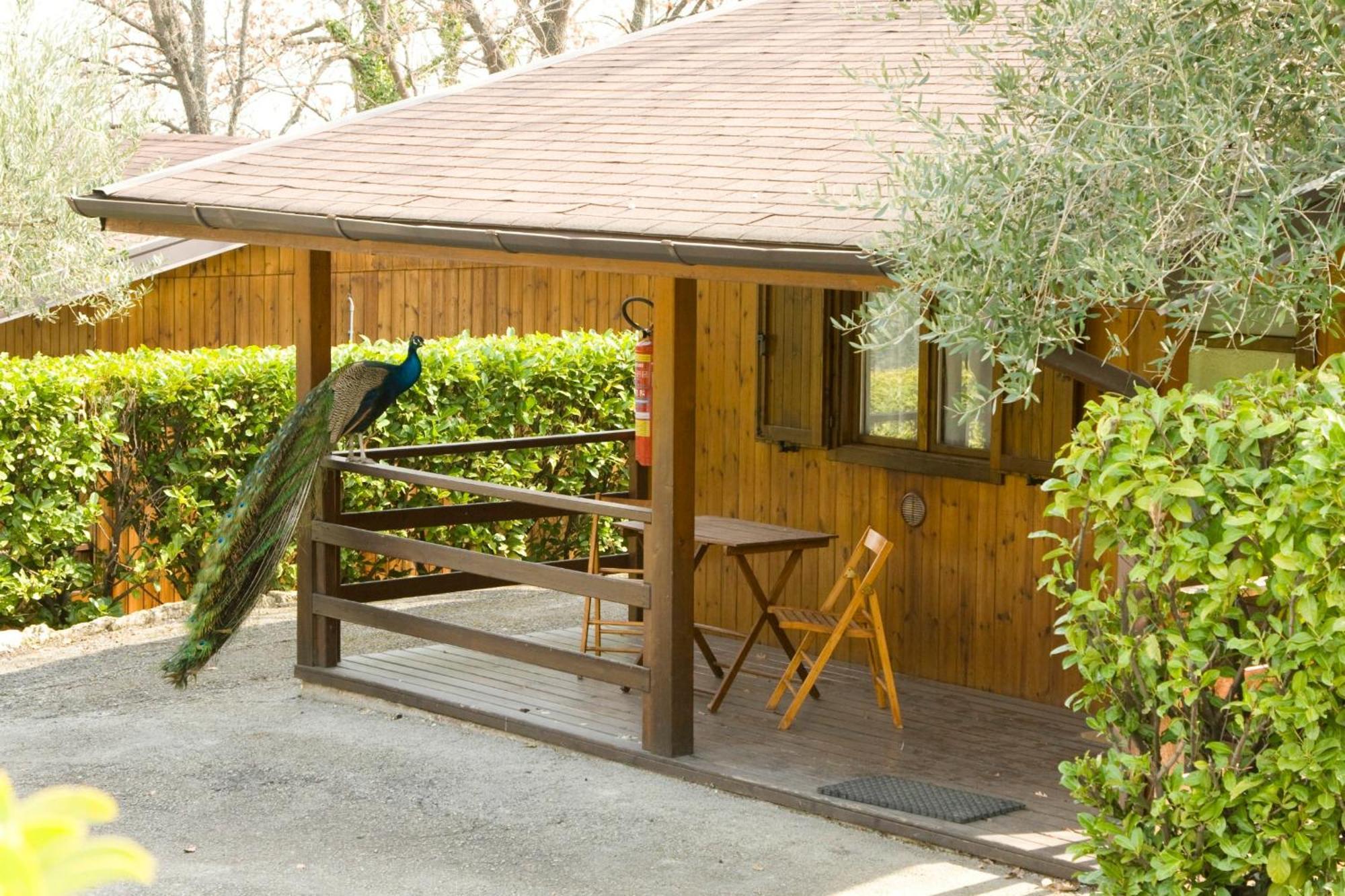 Garden Village San Marino Exterior photo